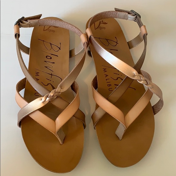 blowfish malibu vegan